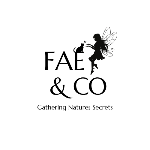 Fae & Co
